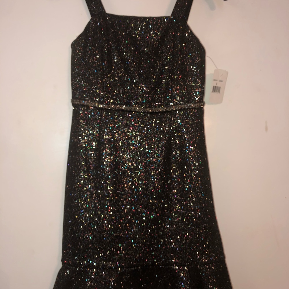 Poppies and Roses Dress